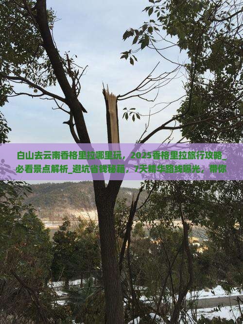 白山去云南香格里拉哪里玩