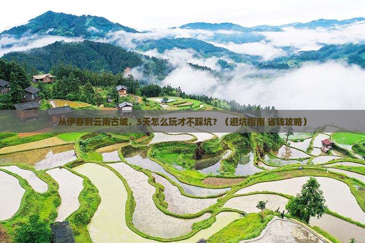 伊春到云南古城哪里玩