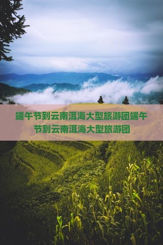 端午节到云南洱海大型旅游团