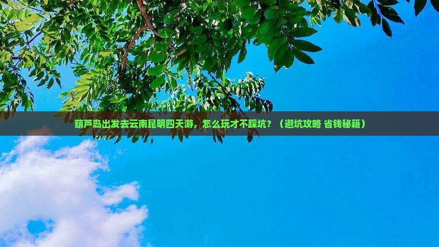 葫芦岛去云南昆明四日游