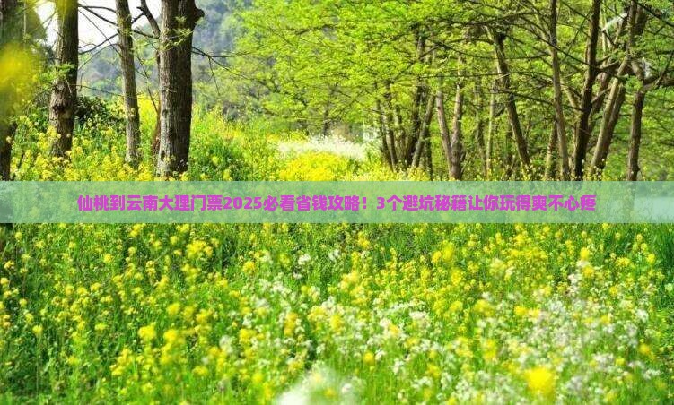 仙桃到云南大理门票