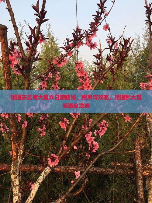 昭通去云南大理六日游 昭通去云南大理六日游