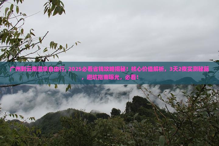 广州到云南温泉自由行