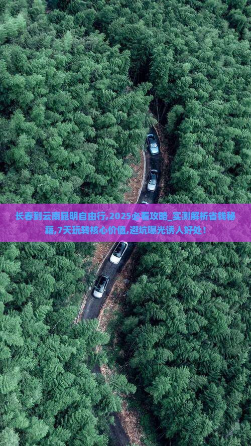 长春到云南昆明自由行