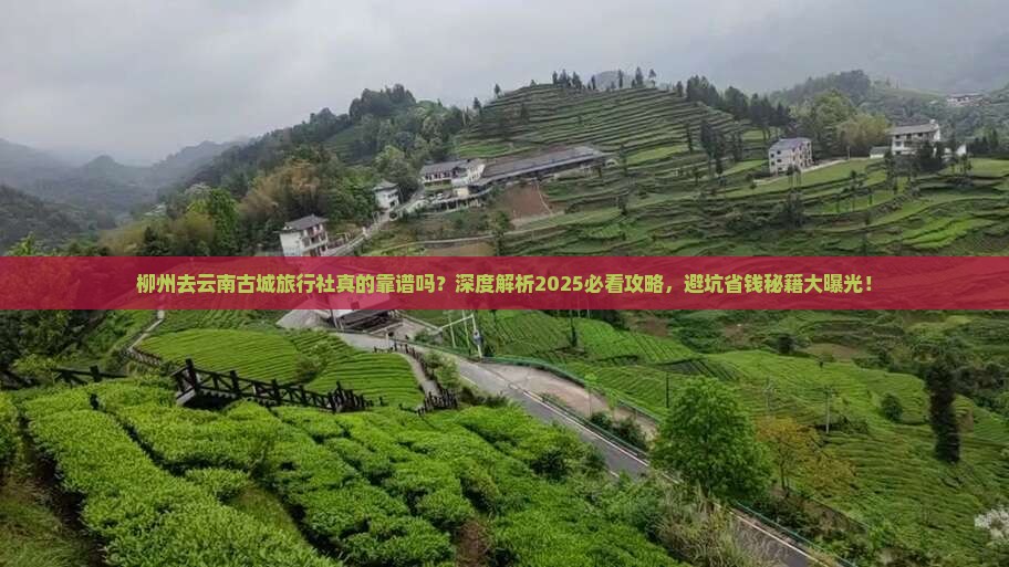 柳州去云南古城旅行社