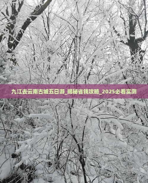 九江去云南古城五日游