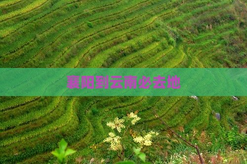 襄阳到云南必去地 襄阳到云南必去地