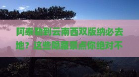 阿泰勒到云南西双版纳必去地