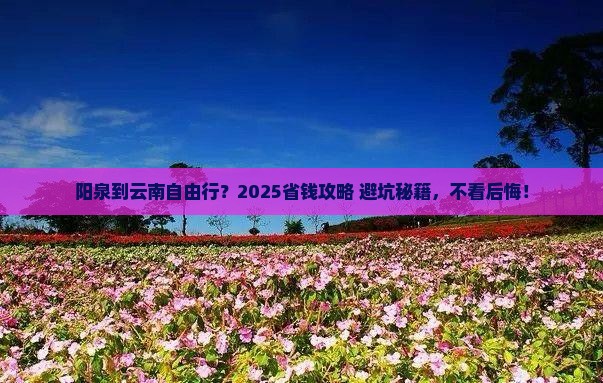 阳泉到云南自由行
