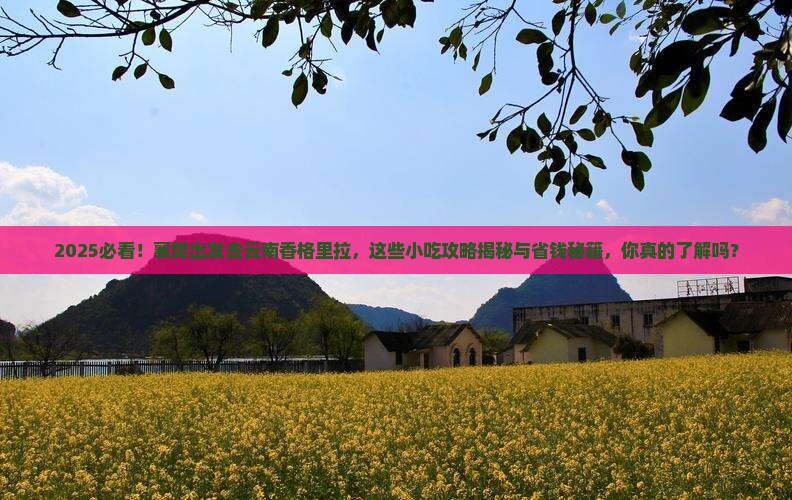 襄樊去云南香格里拉旅游小吃