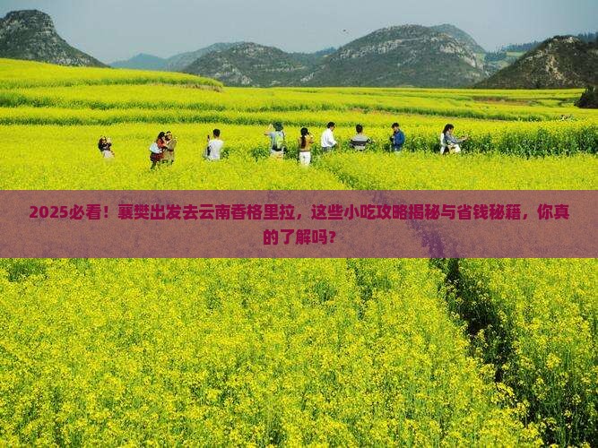 襄樊去云南香格里拉旅游小吃