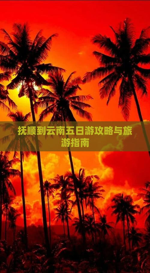 抚顺到云南五日游