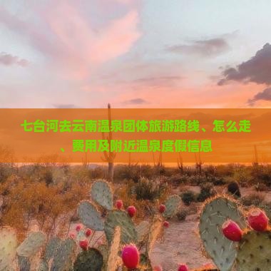 七台河去云南温泉团体旅游