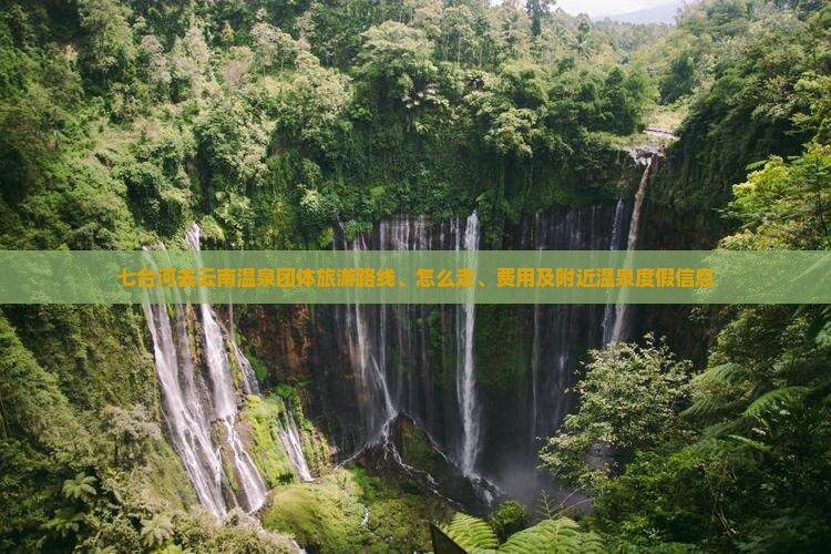七台河去云南温泉团体旅游