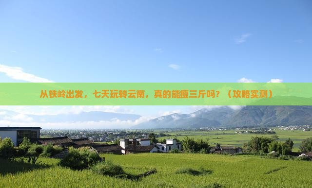铁岭到云南七日游