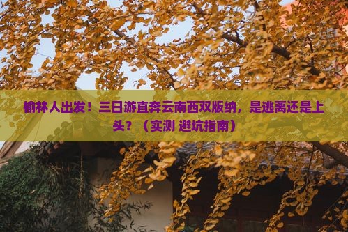 榆林去云南西双版纳三日游