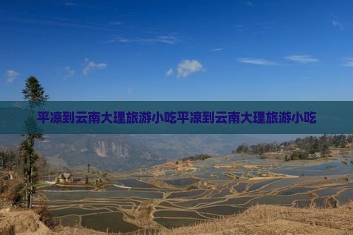 平凉到云南大理旅游小吃