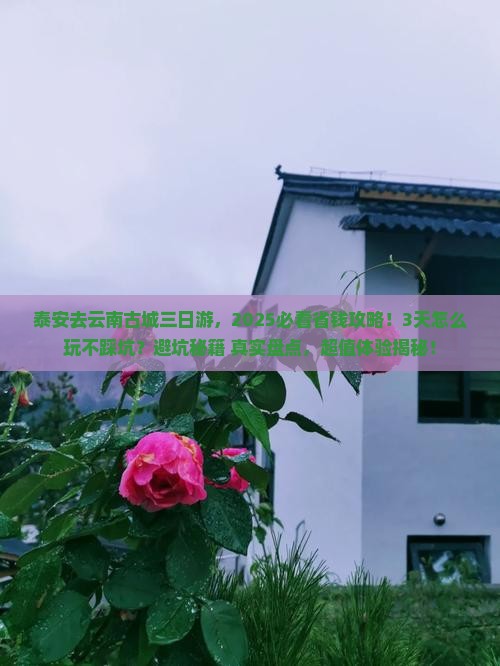 泰安去云南古城三日游