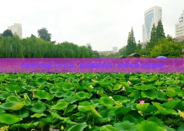 十堰到云南丽江六日游