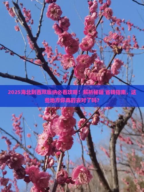 海北到云南西双版纳必去地