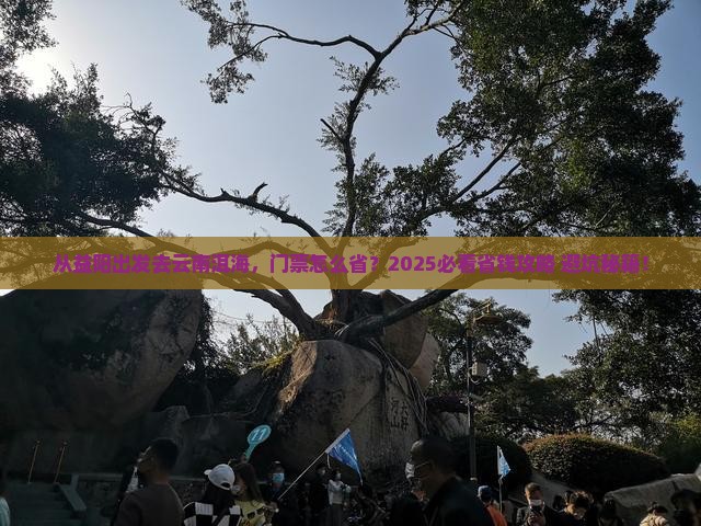 益阳去云南洱海门票 益阳去云南洱海门票