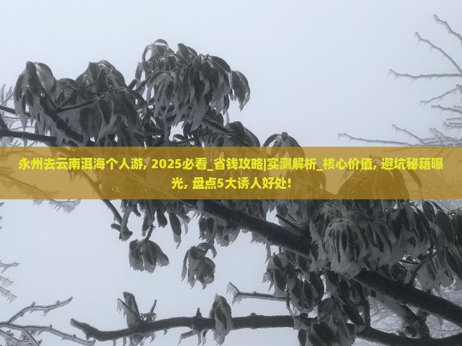 永州去云南洱海个人游
