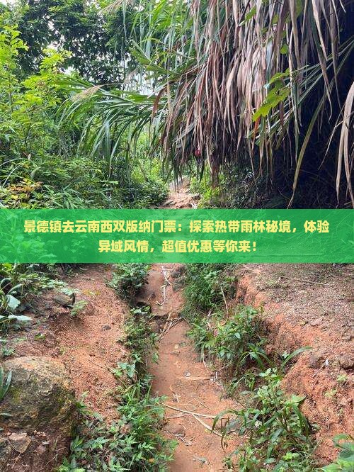 景德镇去云南西双版纳门票 景德镇去云南西双版纳门票