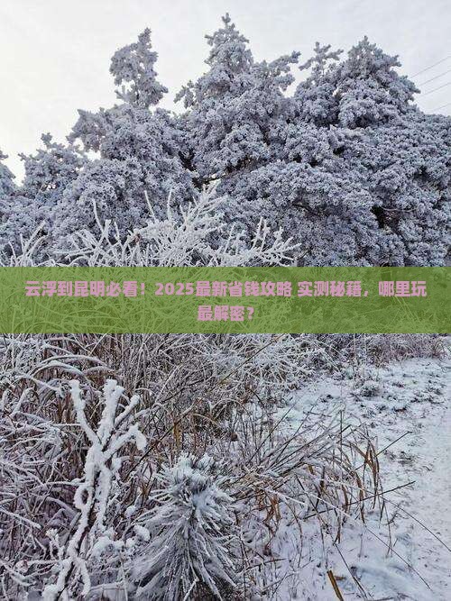 云浮到云南昆明哪里玩