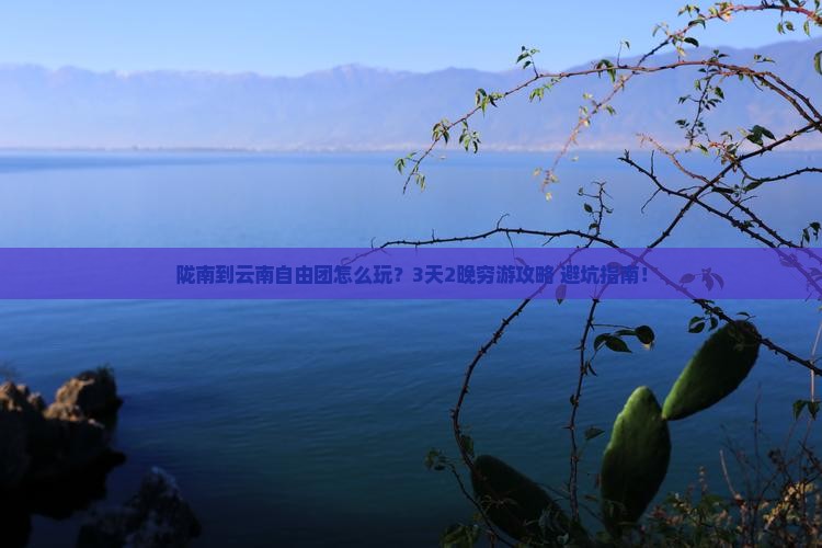 陇南到云南自由团
