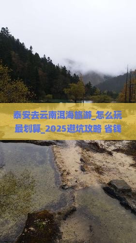 泰安去云南洱海旅游