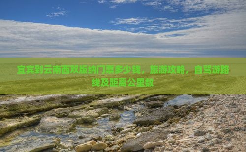 宜宾到云南西双版纳门票