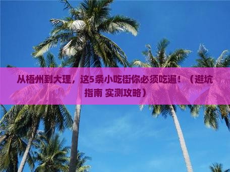 梧州到云南大理旅游小吃