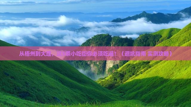 梧州到云南大理旅游小吃