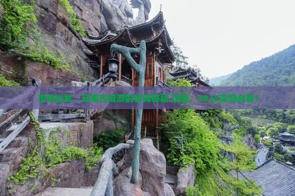 吉林到云南古城个人游