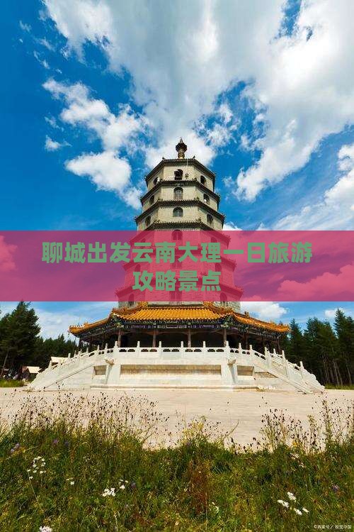 聊城到云南大理一日