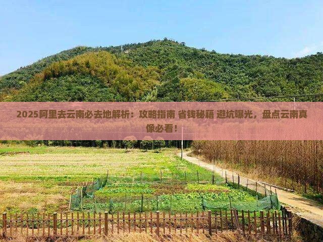 阿里去云南必去地