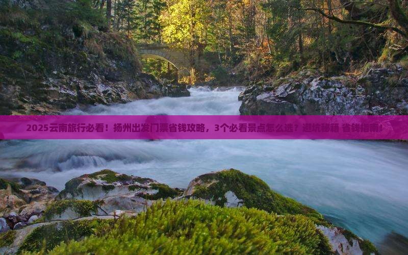 扬州去云南门票