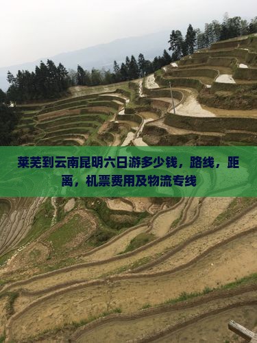 莱芜到云南昆明六日游