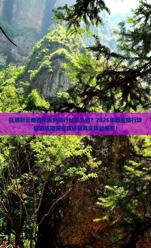抚顺到云南西双版纳旅行社