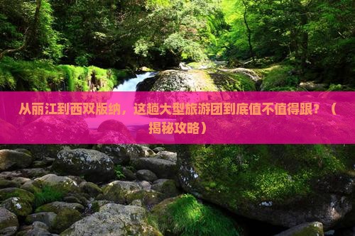 丽江去云南西双版纳大型旅游团