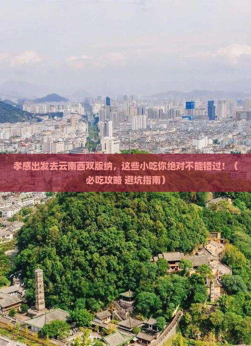 孝感去云南西双版纳旅游小吃