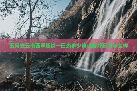 五月去云南西双版纳一日