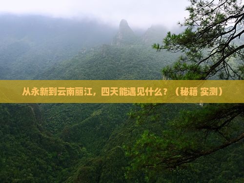 永新到云南丽江四日游 永新到云南丽江四日游