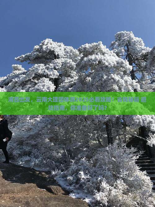 湘西去云南大理团体旅游
