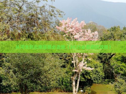 河池到云南昆明必去地