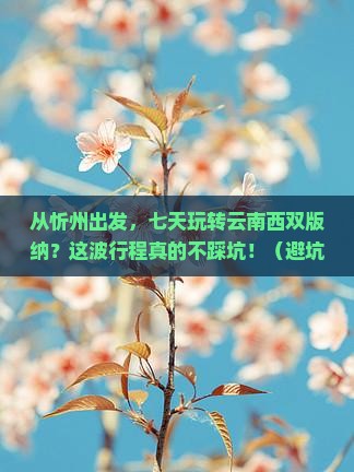 忻州到云南西双版纳七日游