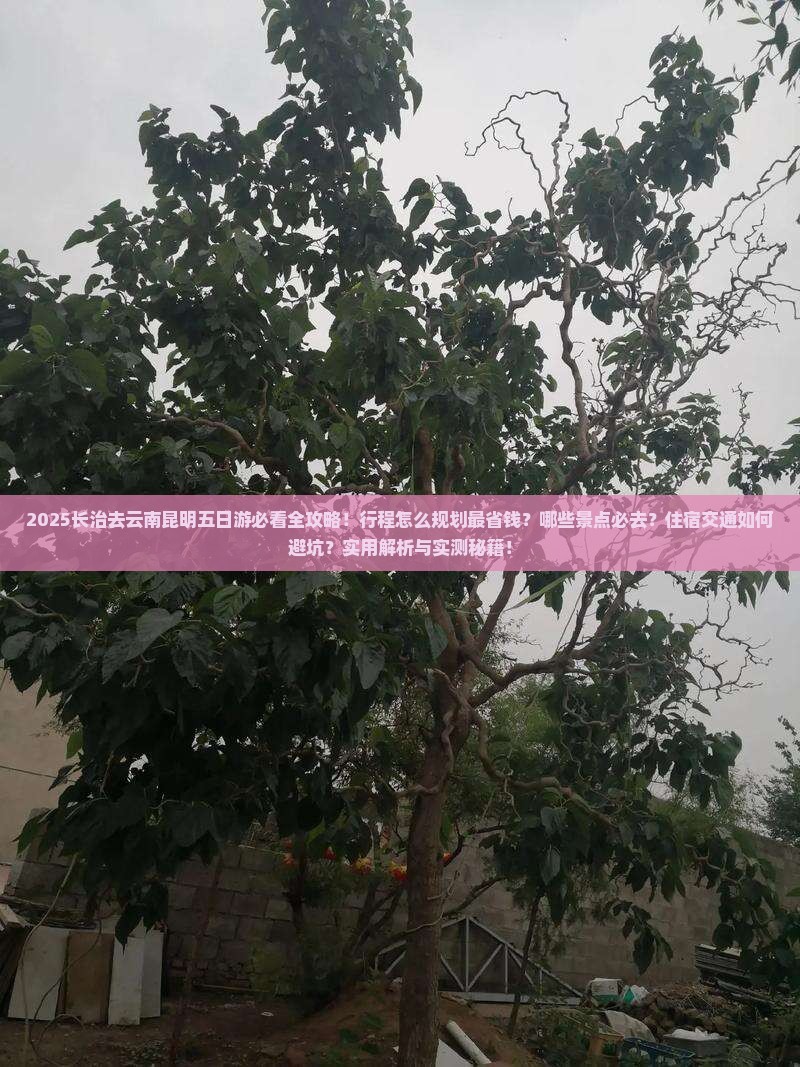 长治去云南昆明五日游