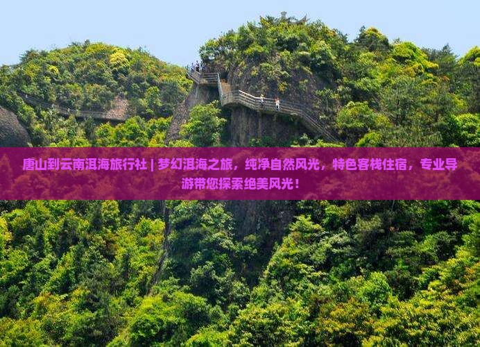唐山到云南洱海旅行社