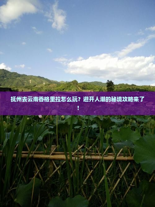 抚州去云南香格里拉攻略