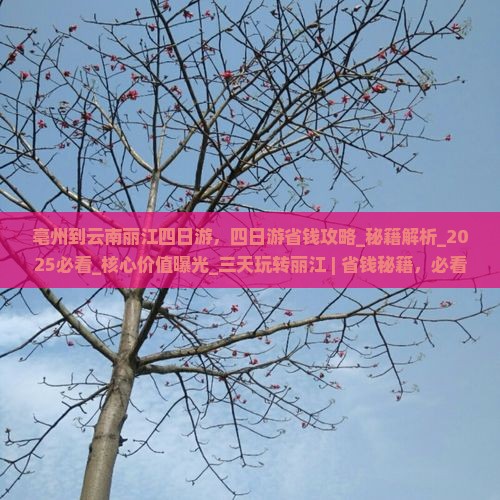 亳州到云南丽江四日游